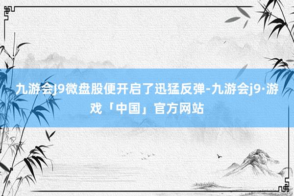 九游会J9微盘股便开启了迅猛反弹-九游会j9·游戏「中国」官方网站
