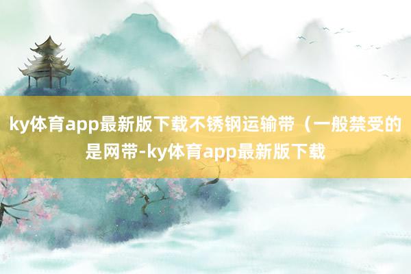 ky体育app最新版下载不锈钢运输带（一般禁受的是网带-ky体育app最新版下载
