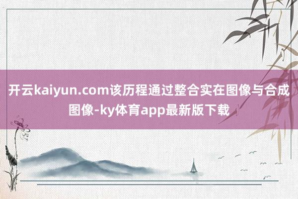 开云kaiyun.com该历程通过整合实在图像与合成图像-ky体育app最新版下载