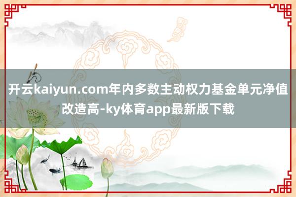 开云kaiyun.com年内多数主动权力基金单元净值改造高-ky体育app最新版下载